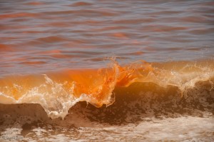 redtidesurfersbeach3