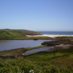 Lagoon at Laguna Creek